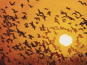 Discover Magic of Batik with Rosi Robinson (Two Day Workshop)