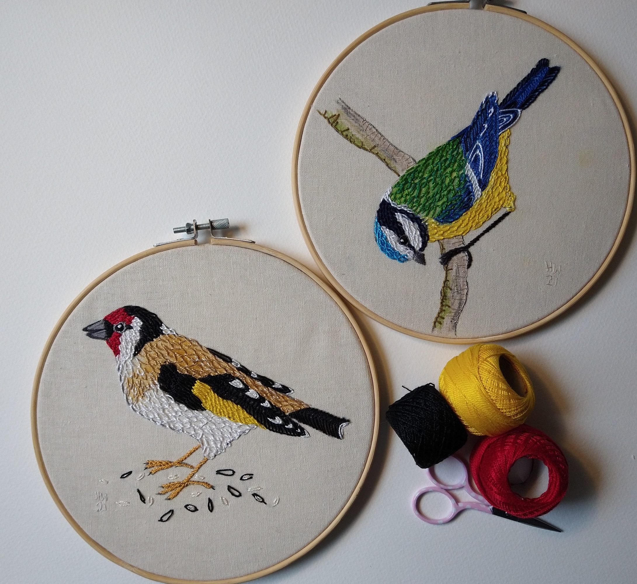 Bird Portraits in Hand Embroidery