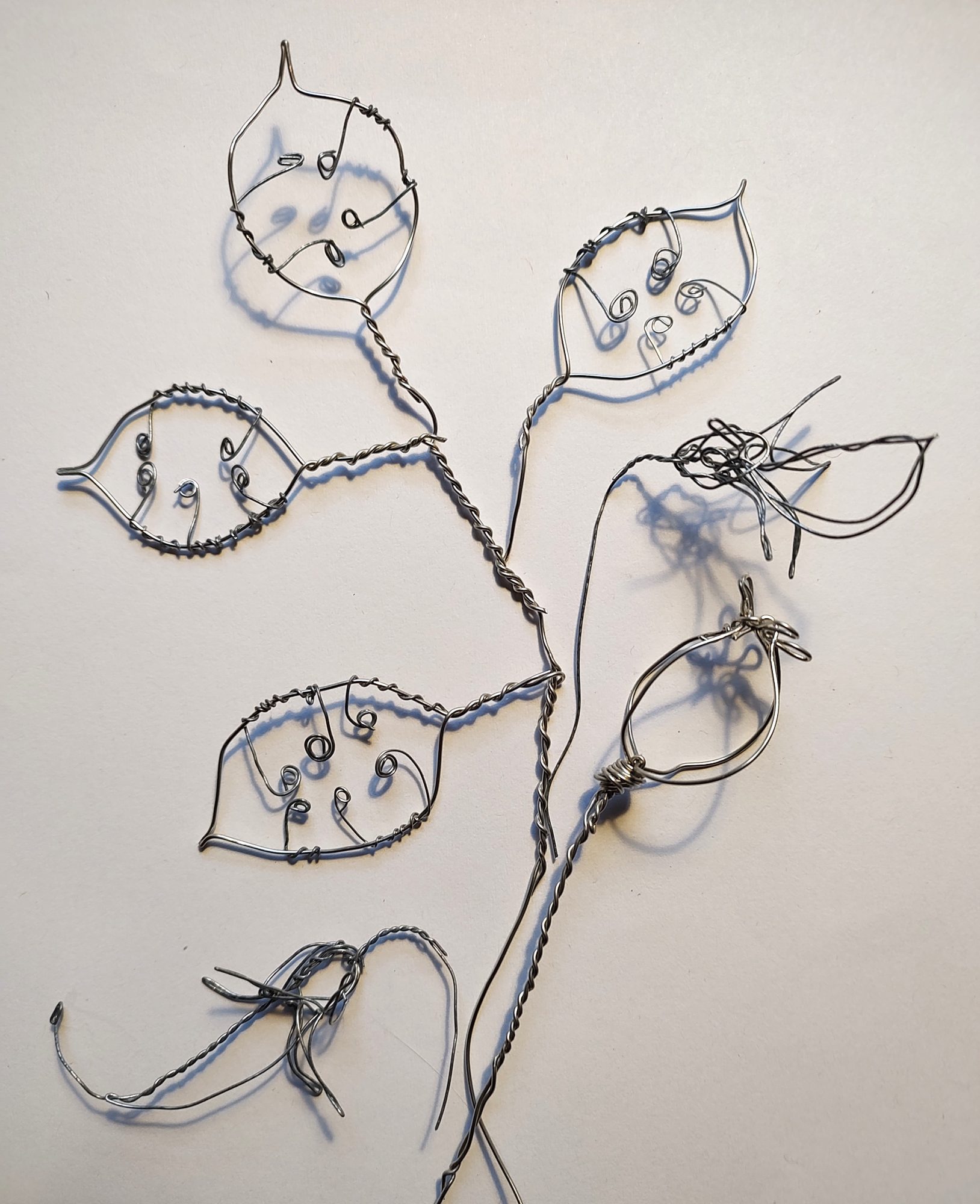 Seed Heads: Drawing with Wire