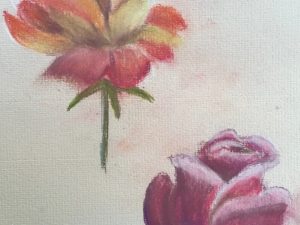 Enjoy your Coloured Pencils with Zoe